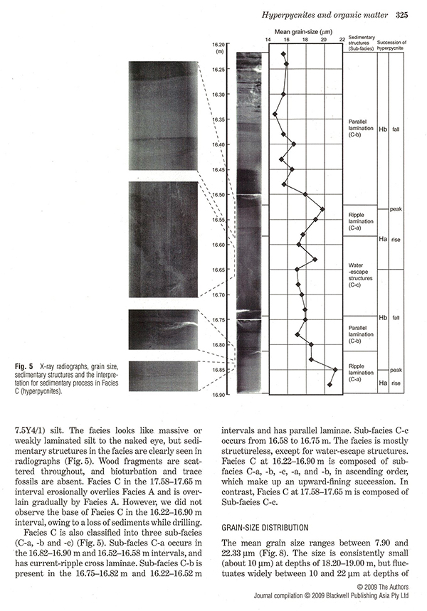 図Ⅰ(出典)Island Arc (2009) Vol.18, p.325