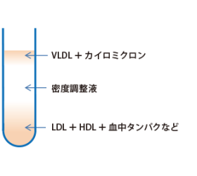 遠心後の血清サンプル