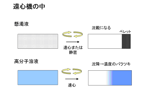遠心機の中