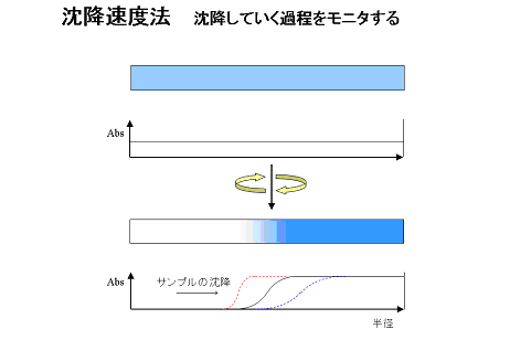 沈降速度法 沈降していく過程をモニタする