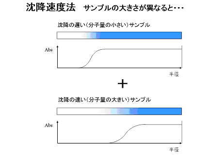 沈降速度法 サンプルの大きさが異なると