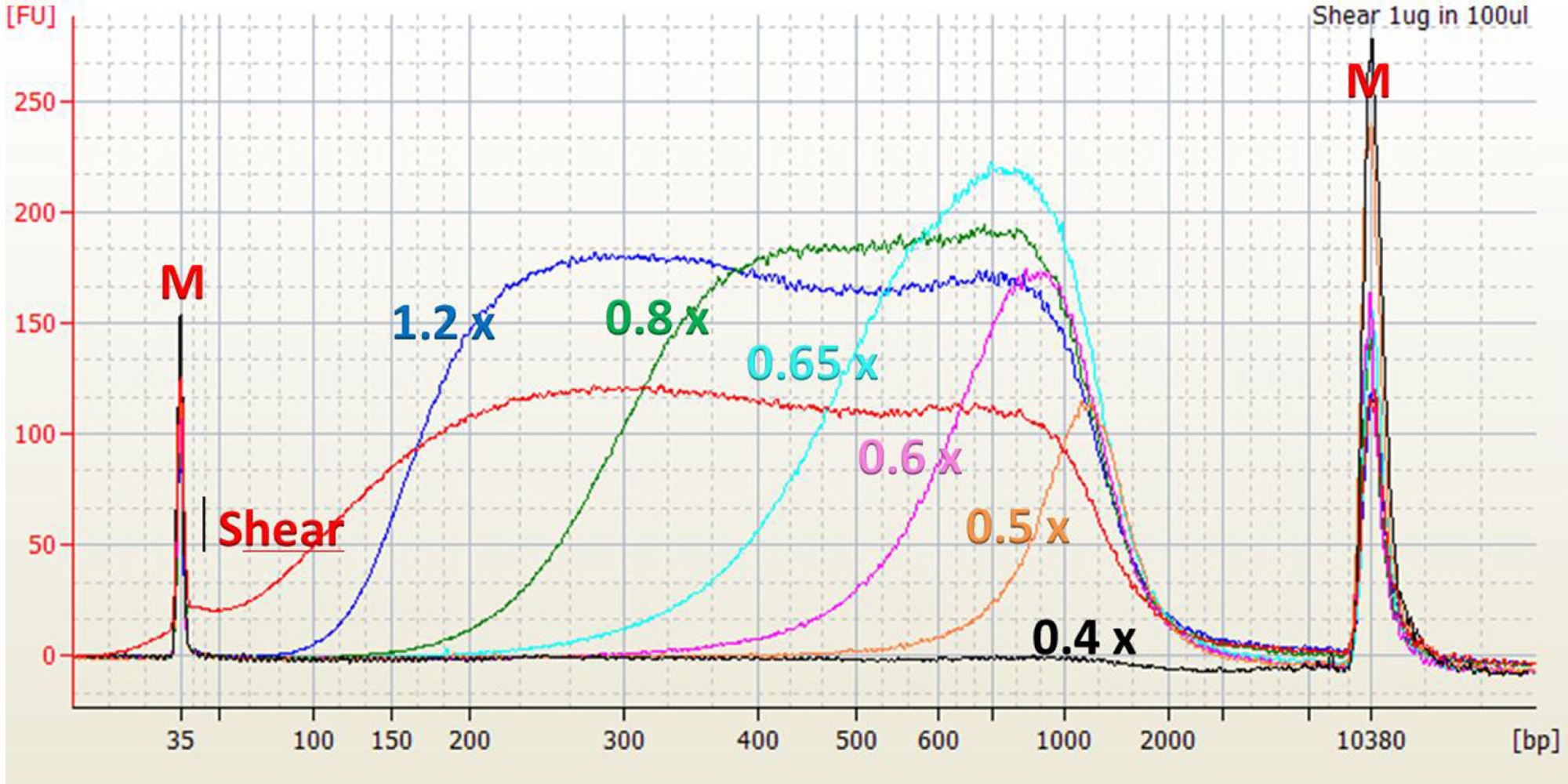 Ampure Xp Beads Size Selection Chart