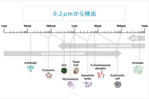 0.2 μmから検出